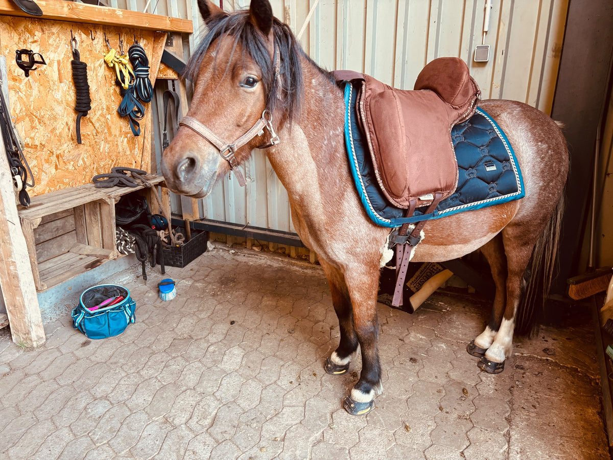 Pony mit dem Ride on Physio Support Reitpad