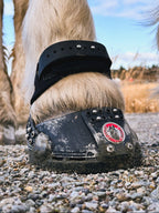 TrailBlazer Hufschuh