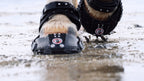 Equine Fusion Trailblazer im Wasser