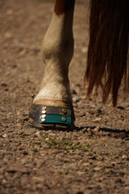 ScootBoot Classic & Slim Hufschuh