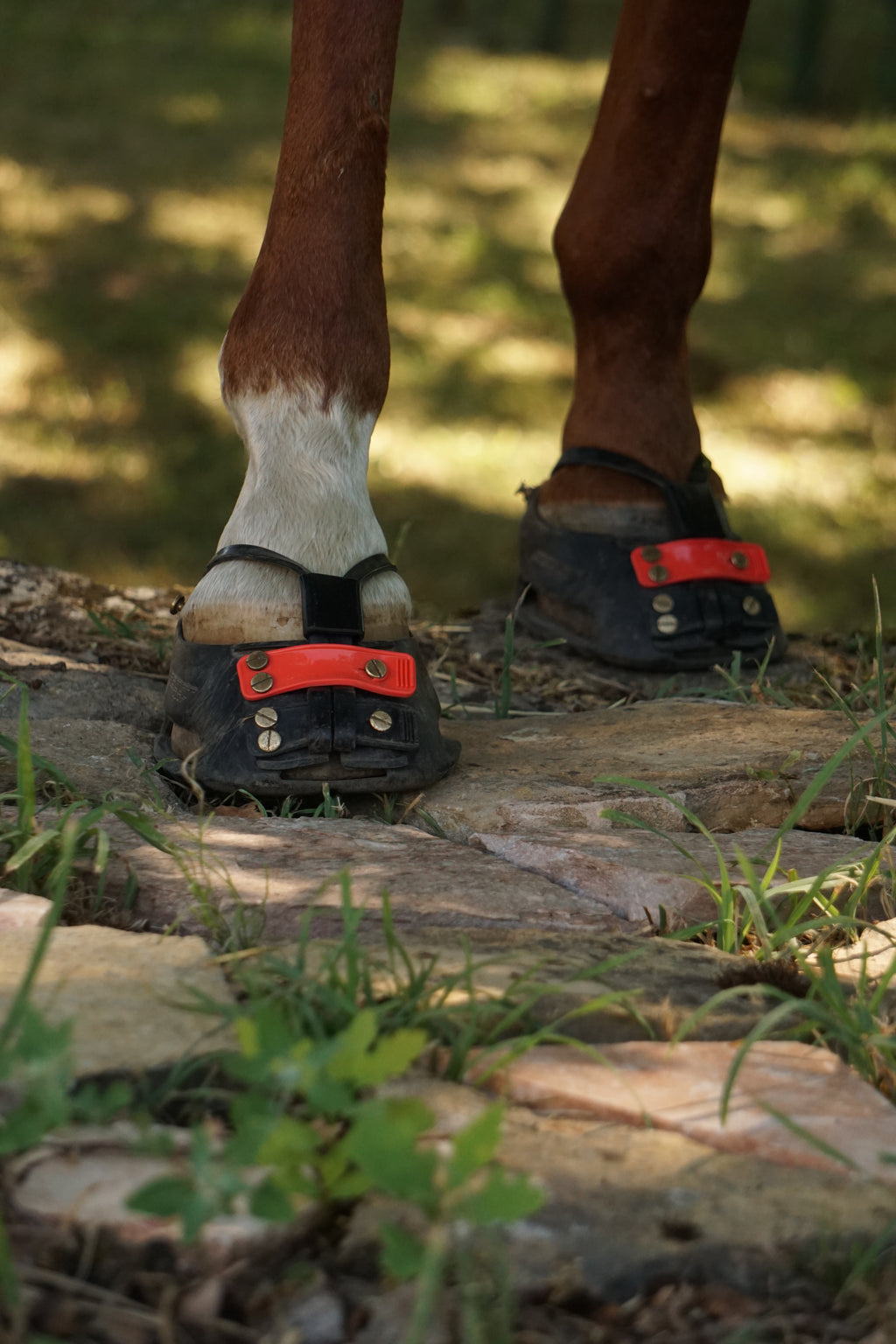 Mud Straps