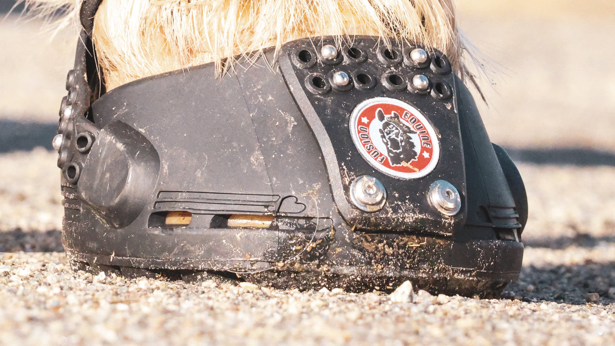 Equine Fusion Trailblazer Hufschuhe bei einem Tinker 