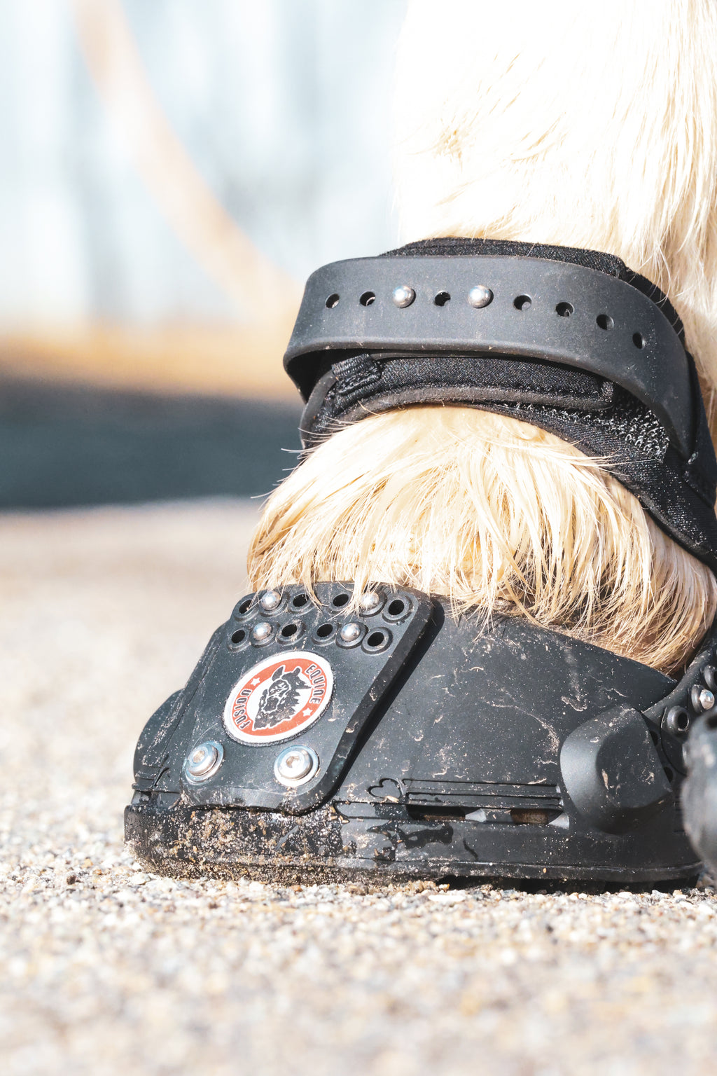 Equine Fusion Hufschuhe Trailblazer