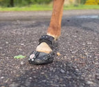 Patch Equine Fusion Trailblazer