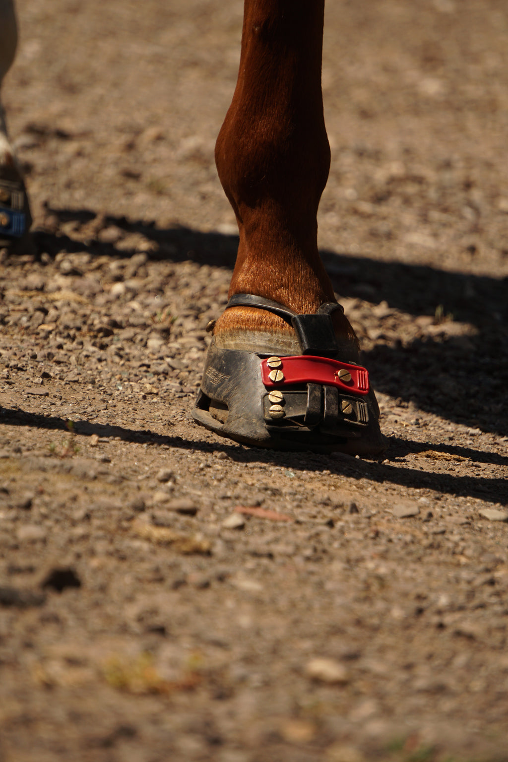 ScootBoot Classic & Slim Hufschuh
