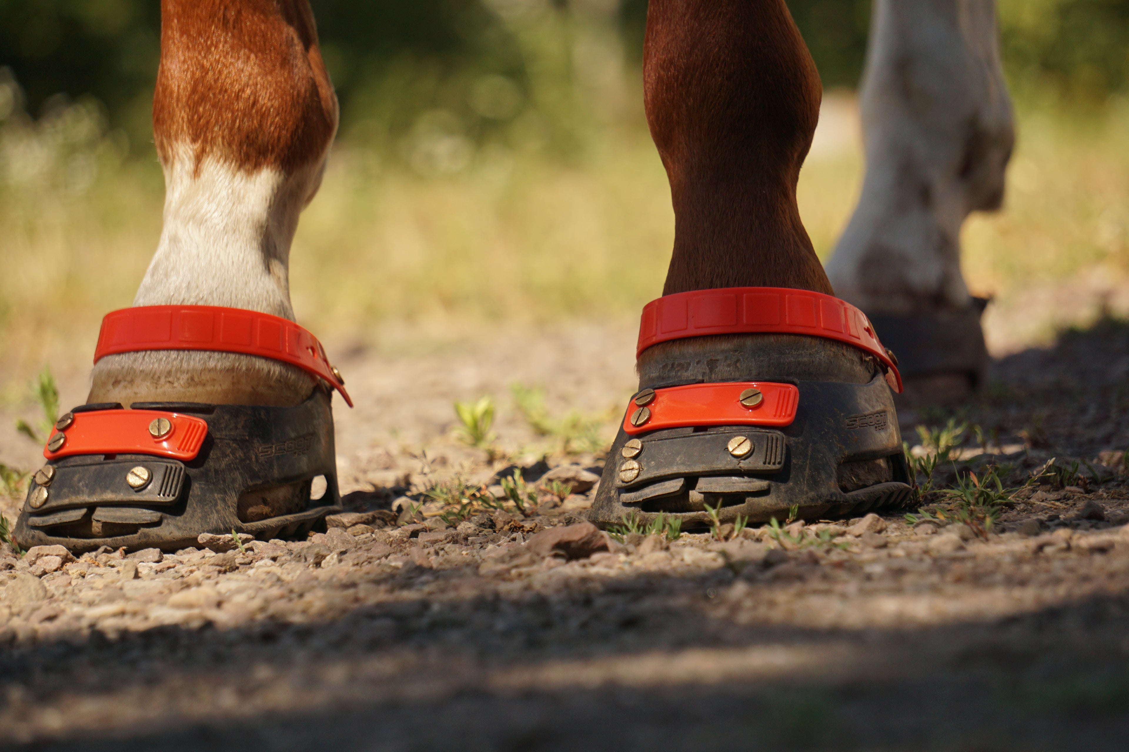ScootBoot Classic & Slim Hufschuh