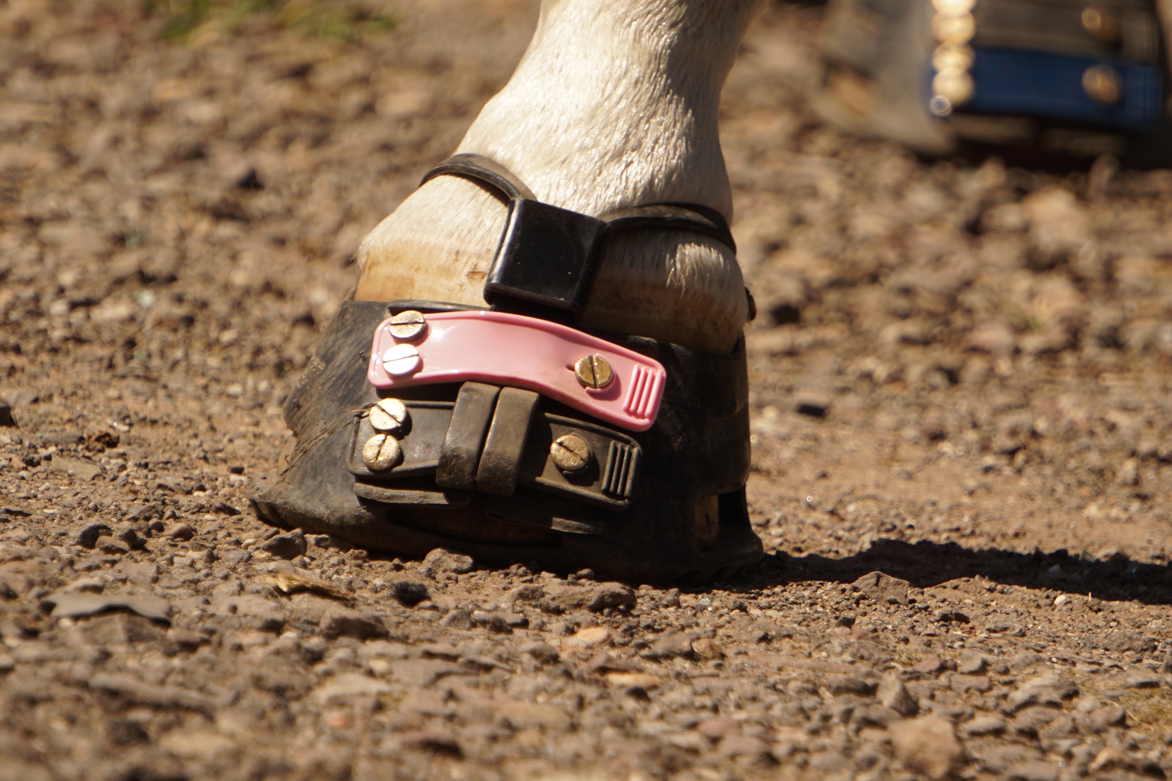 ScootBoots FrontStraps