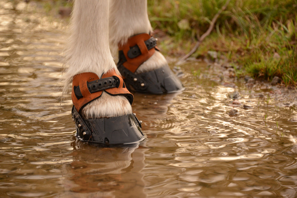 Flex Boot  (ohne Zubehör)