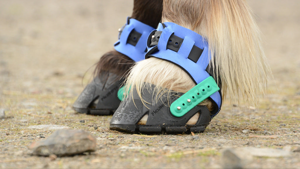 Flex Boot  (ohne Zubehör)