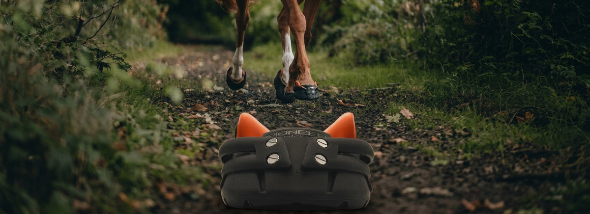 Pioneer Hufschuhe