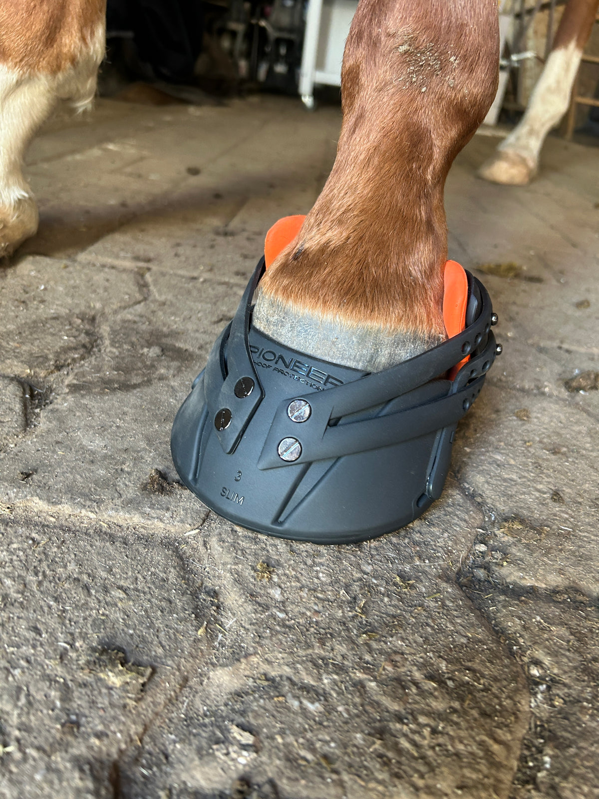 Pioneer Hufschuh von Vorne 