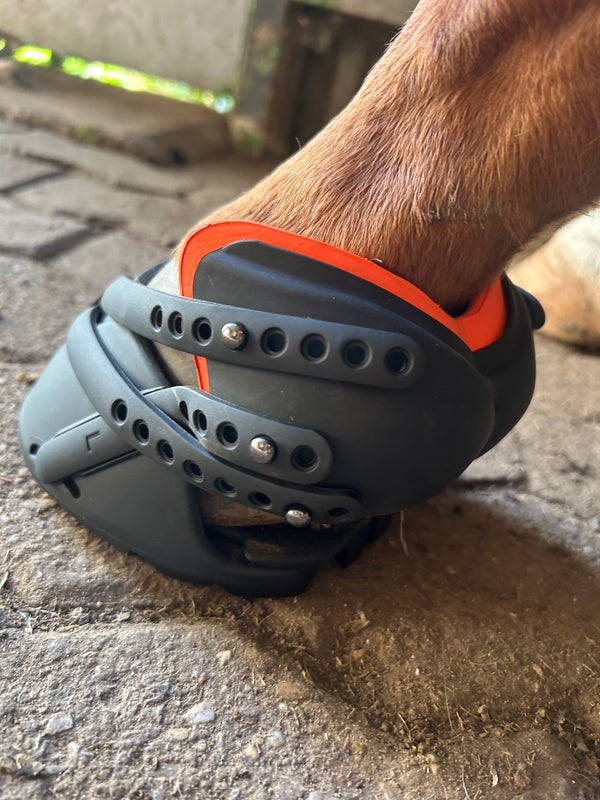 Selbstanpassende Sport Hufschuhe von Pioneer