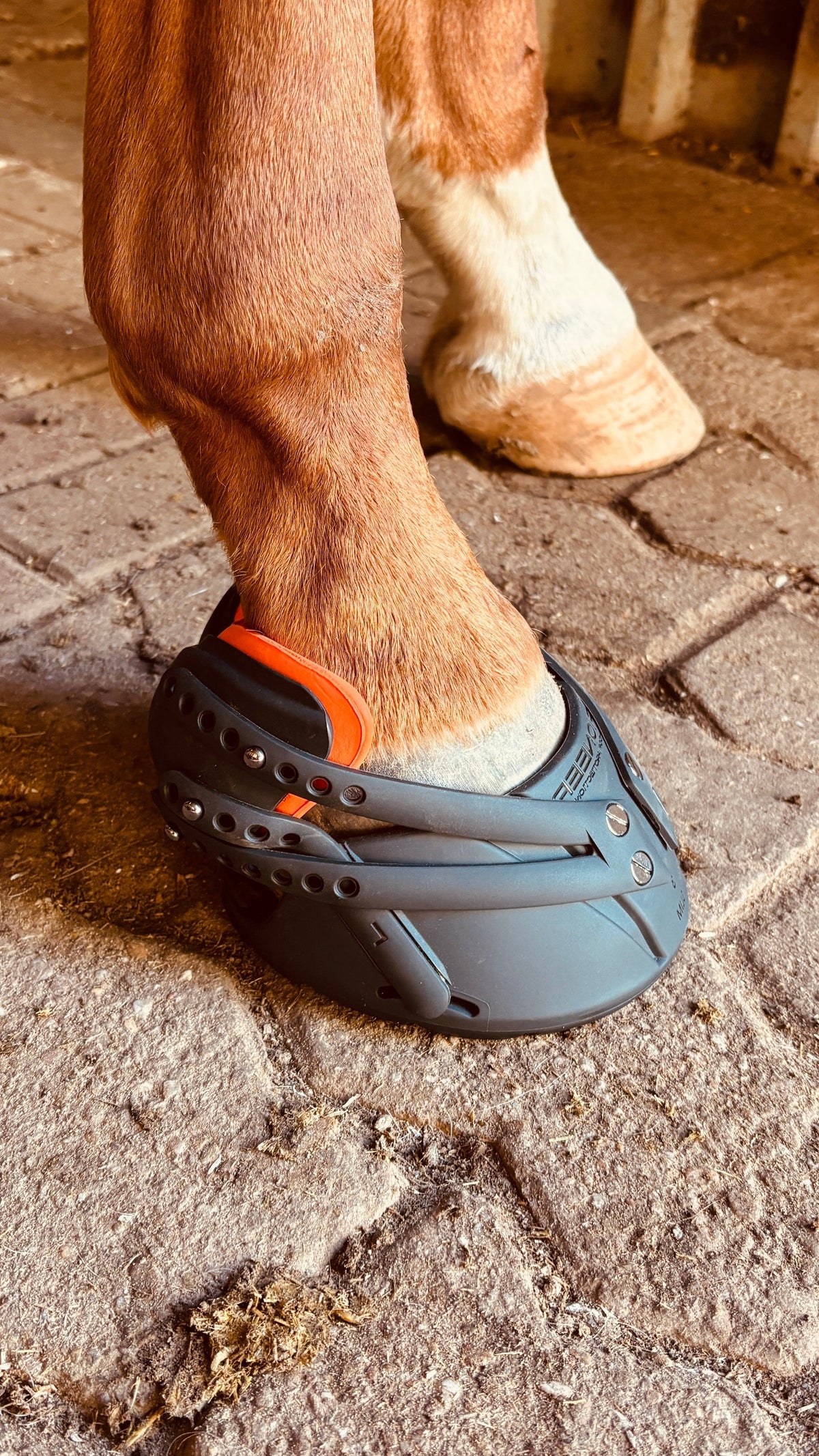 Pioneer Hufschuh
