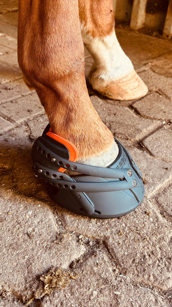 Selbstanpassende Sport Hufschuhe von Pioneer
