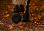 Flex Boot  (ohne Zubehör)