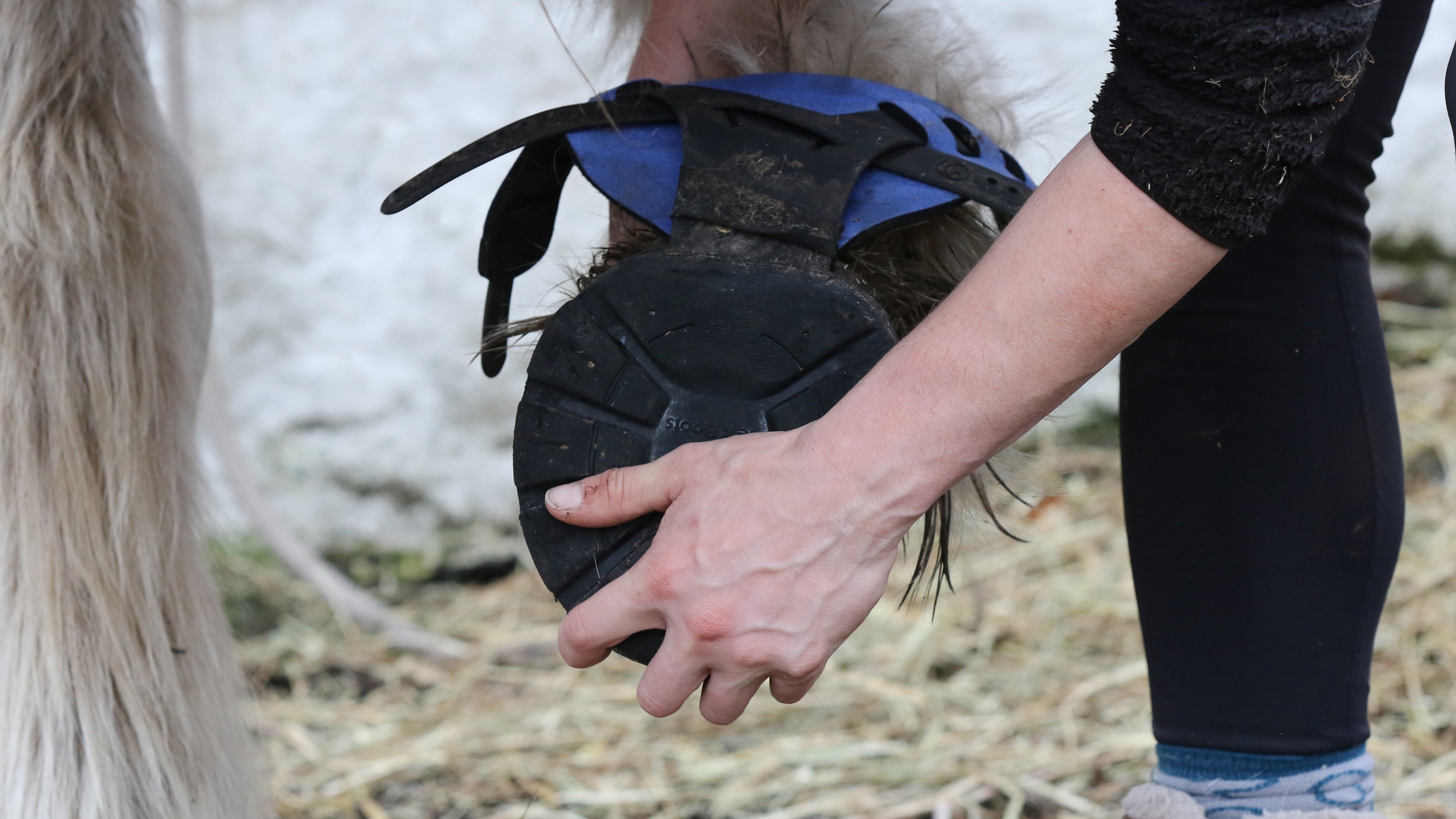 Flex Boot  (ohne Zubehör)