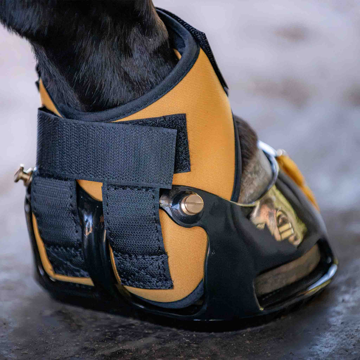 Multipurpose Gaiter Scootboot in Marigold