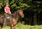 Sattel CHEYENNE Größe X0 BARRY, DryTex®