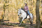 Sattel LAZY MOUNTAIN Nubukleder, Fellsitz