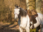 Sattel LAZY MOUNTAIN Nubukleder, Fellsitz