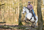 Sattel LAZY MOUNTAIN Nubukleder, Fellsitz