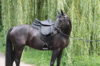 Sattel LEXINGTON Nubukleder, kurzes Sattelblatt