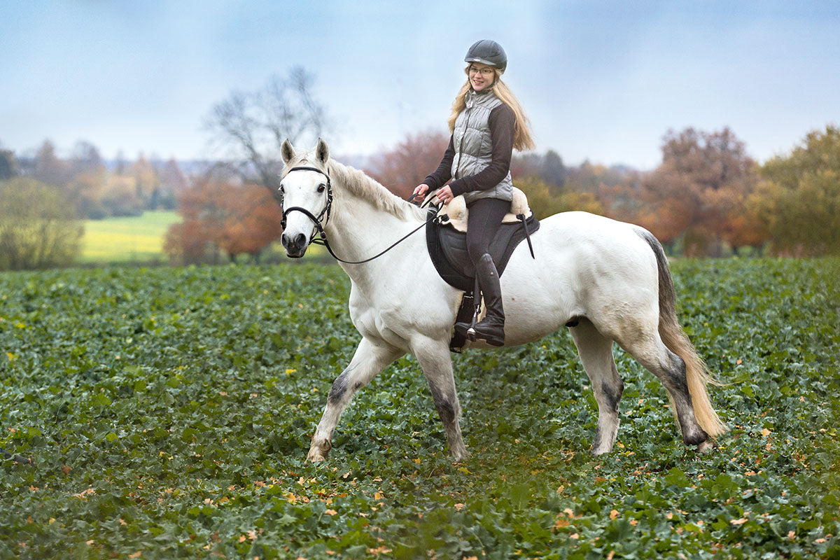 Sattel SOFT WALK, DryTex® mit Fellsitz
