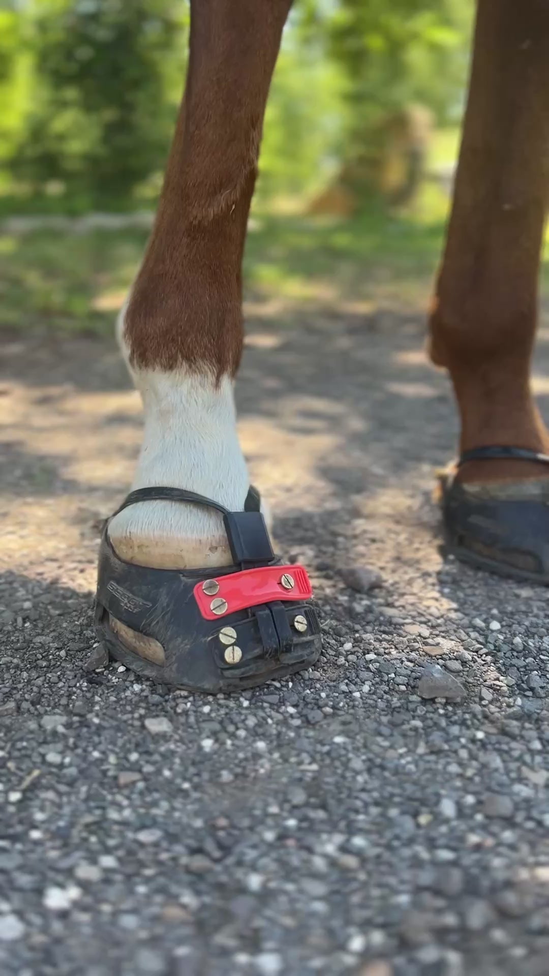 Scootboots Mud Straps (Sparversion)