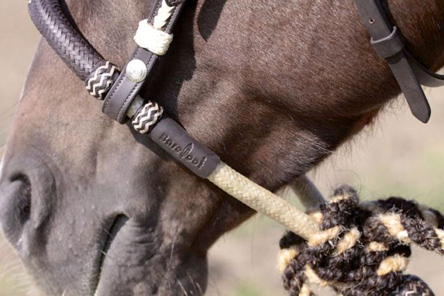 BOSAL, Rohhaut