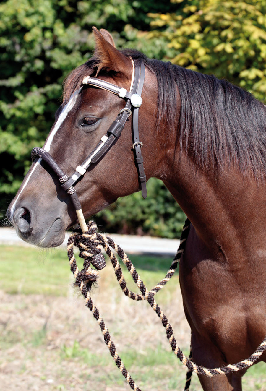 BOSAL, Rohhaut