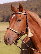 SENECA Knoten-Reit-Halfter 3-in-1