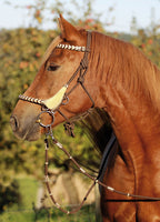 SENECA Knoten-Reit-Halfter 3-in-1